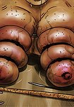 She was naked except for the regulation bra, which had holes cut in it for the nipples to stick through - Sex hunting by Mr Kane